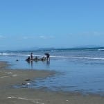 beachplay4
