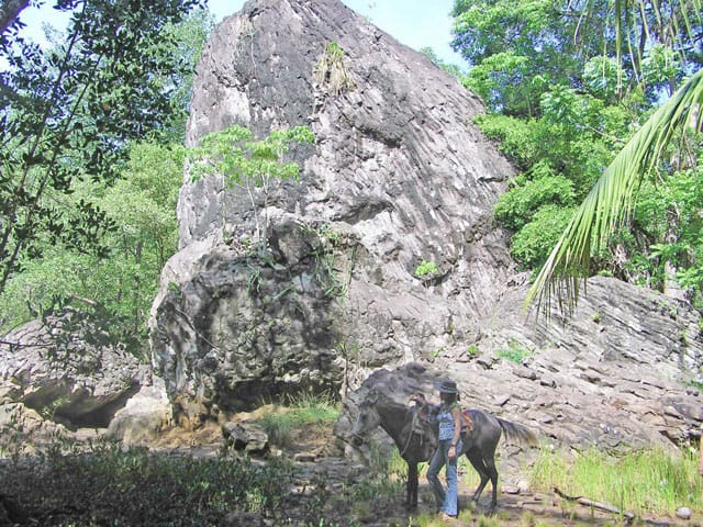 Rock