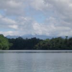 estuary