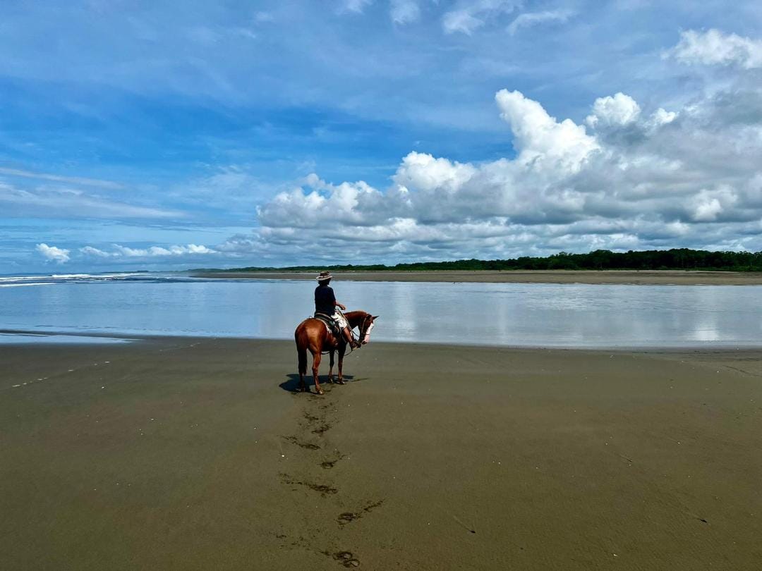 Estuary
